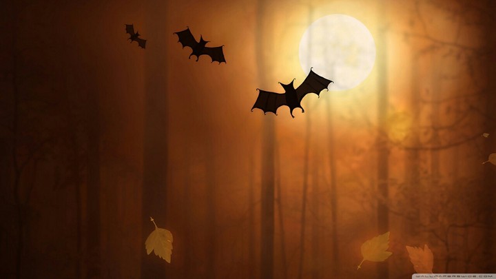 halloween bats wallpaper
