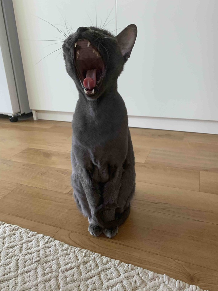 ?