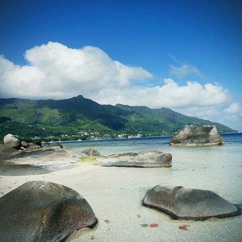 rocks