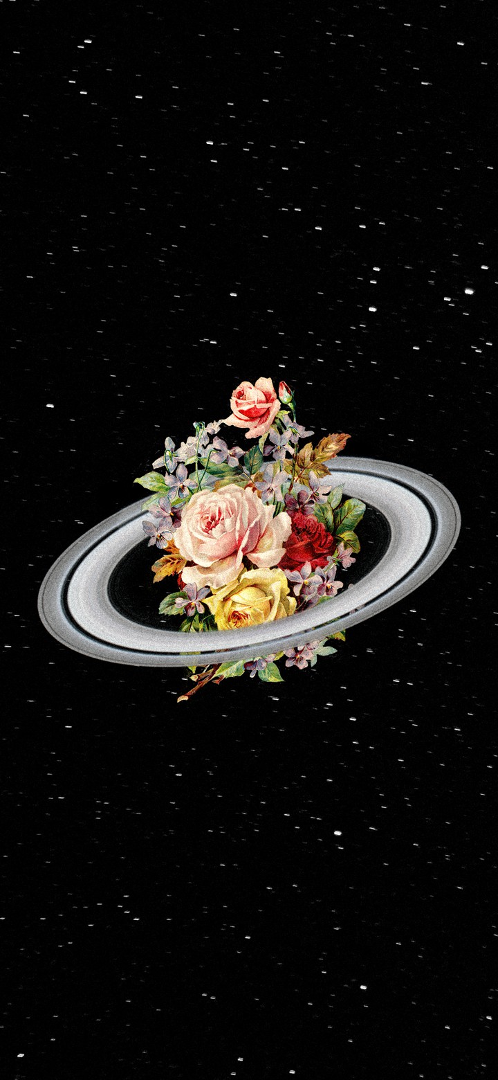 ✨???????✨