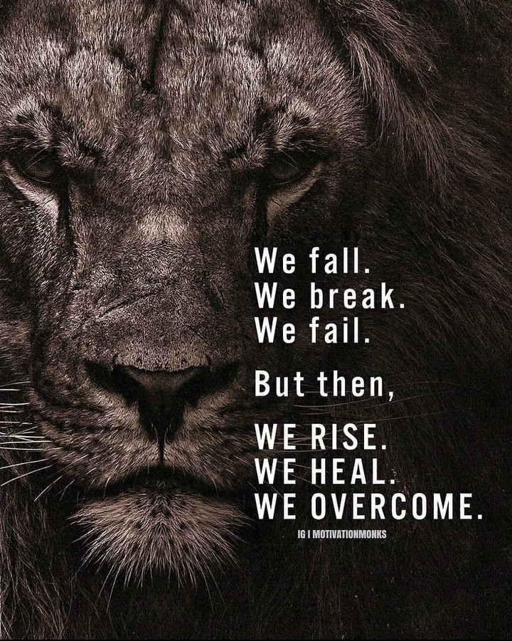 motivation