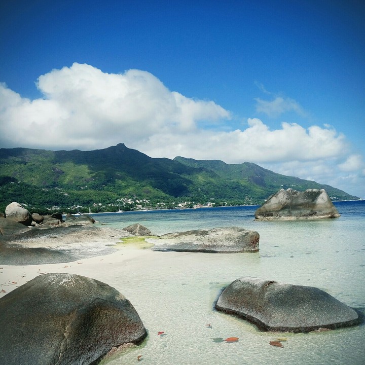 rocks