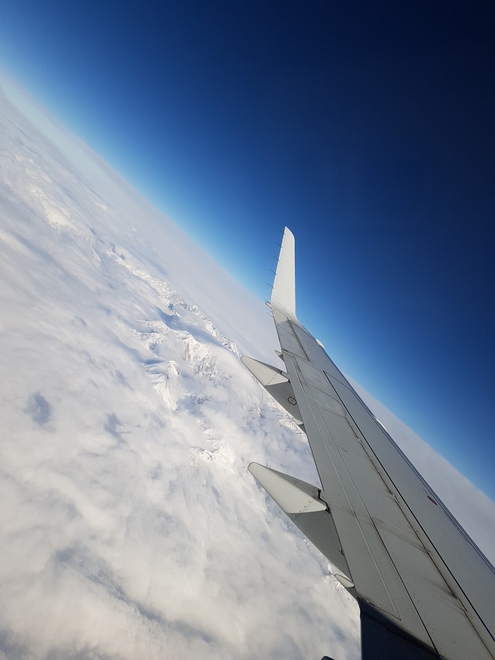 fly