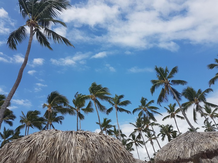 Dominican republic