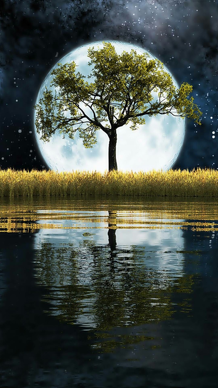 fullmoon