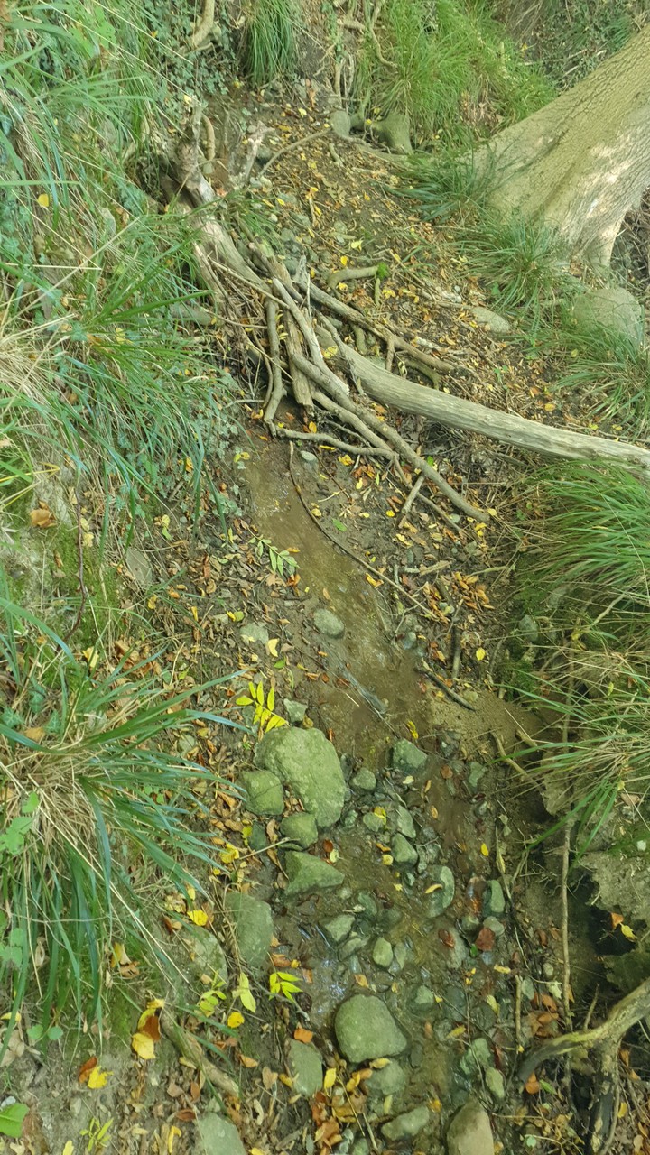 Tiere  Menschen