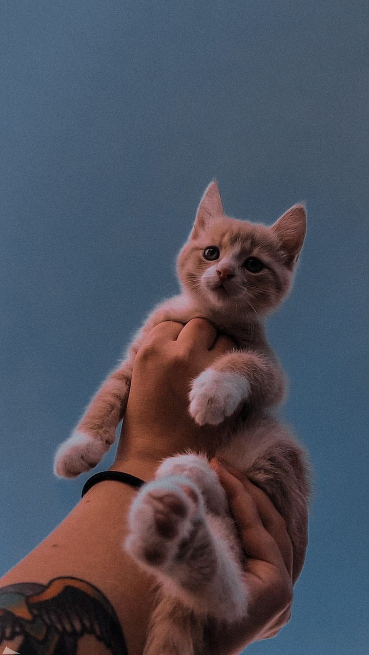 SOME PROMISES STAY FOREVER ʘ‿ʘ