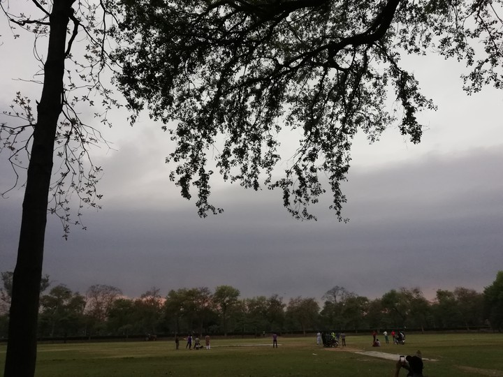 cricket