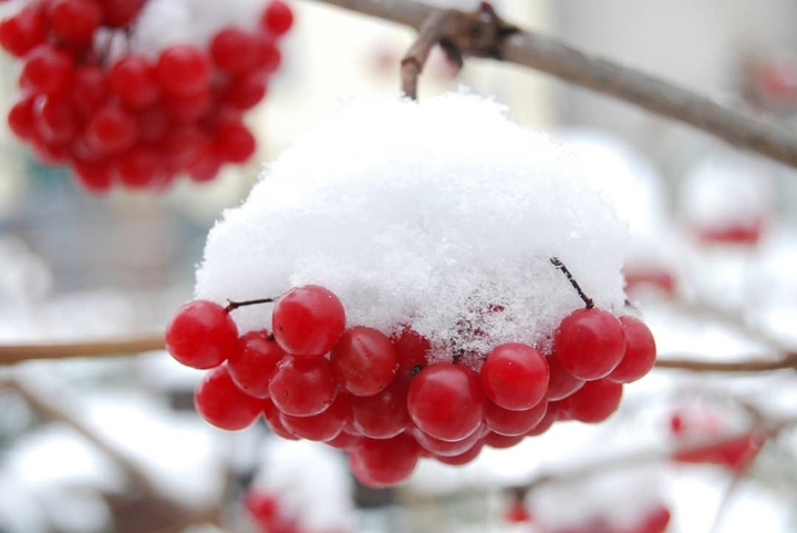winter