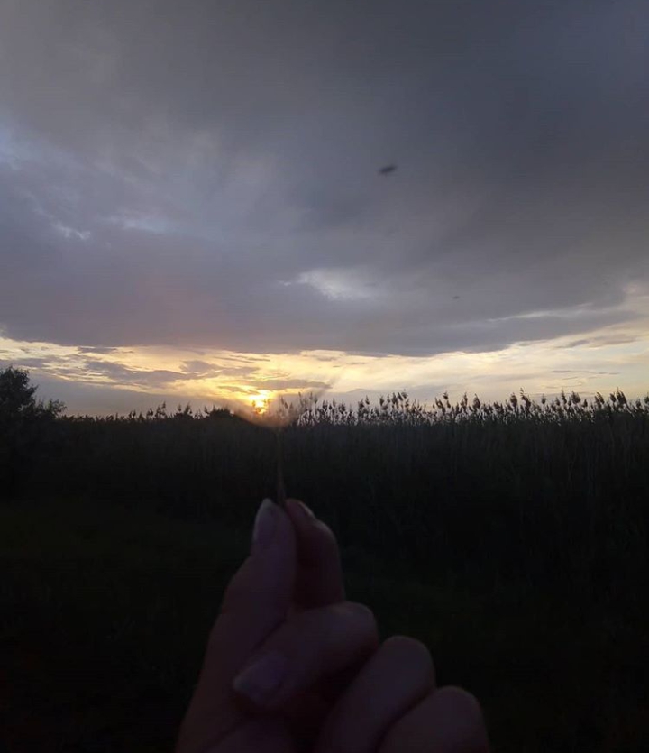 take it