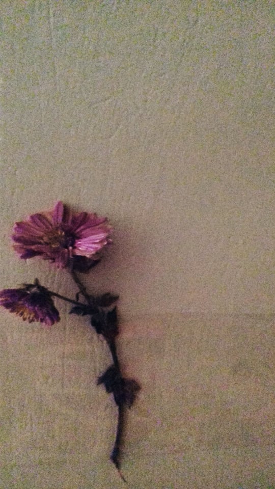 ???