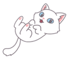 하얀 고양이