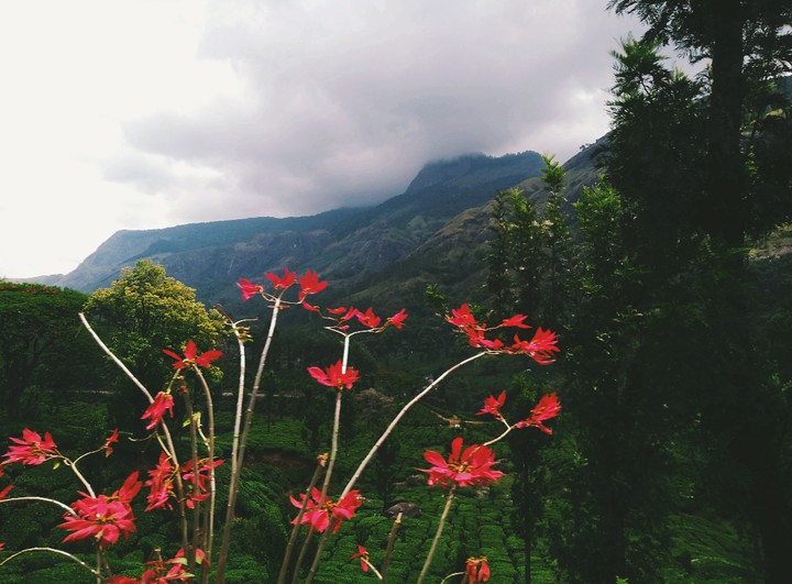 Go where you feel most alive