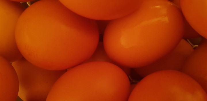Eggs!