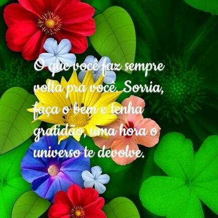 amor