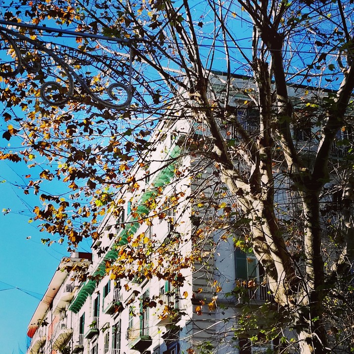 Almost Winter #naples