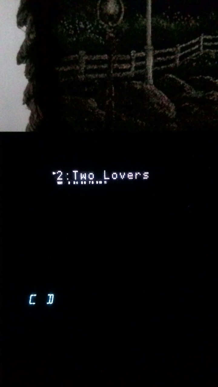 two lovers