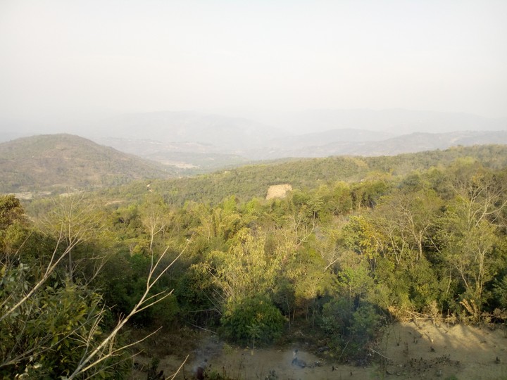 nature
