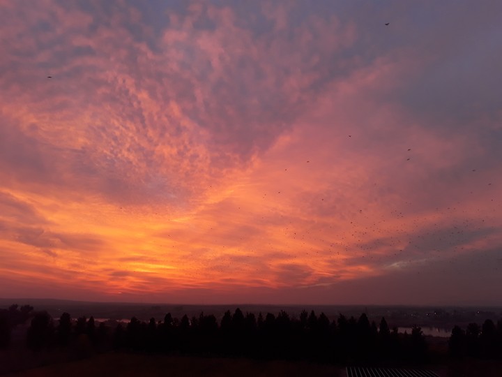 sunset