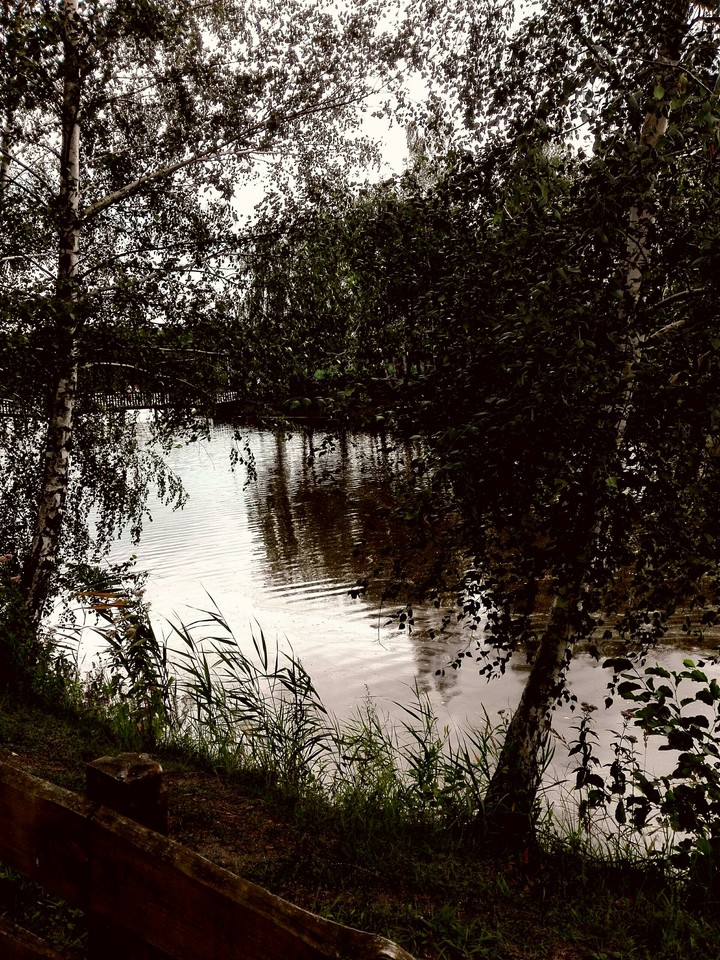 Fairytale Space