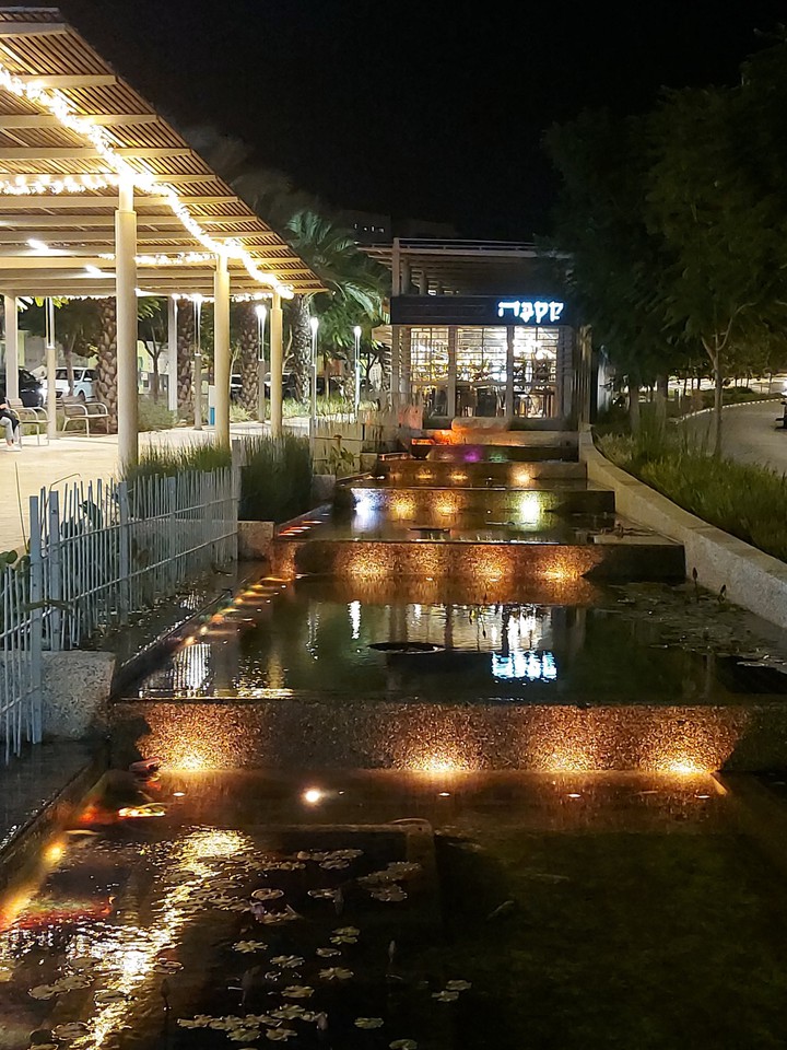 beautiful.pond