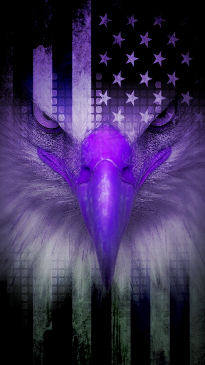 Eagle American Flag