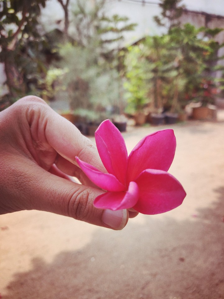 Floral motivation