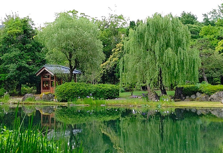 By the lake