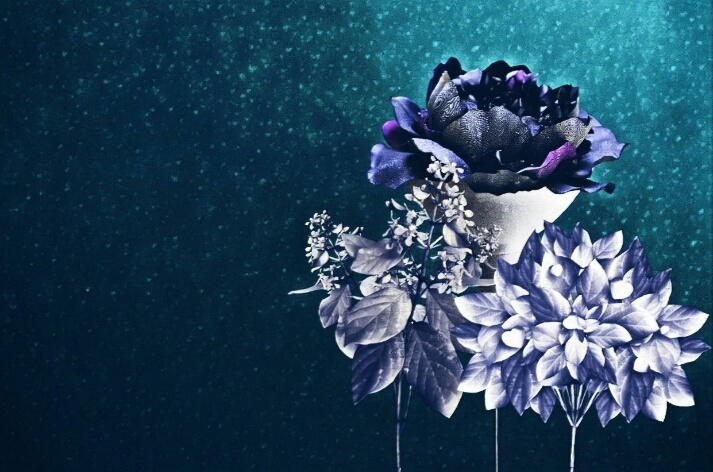 Beautiful Flower