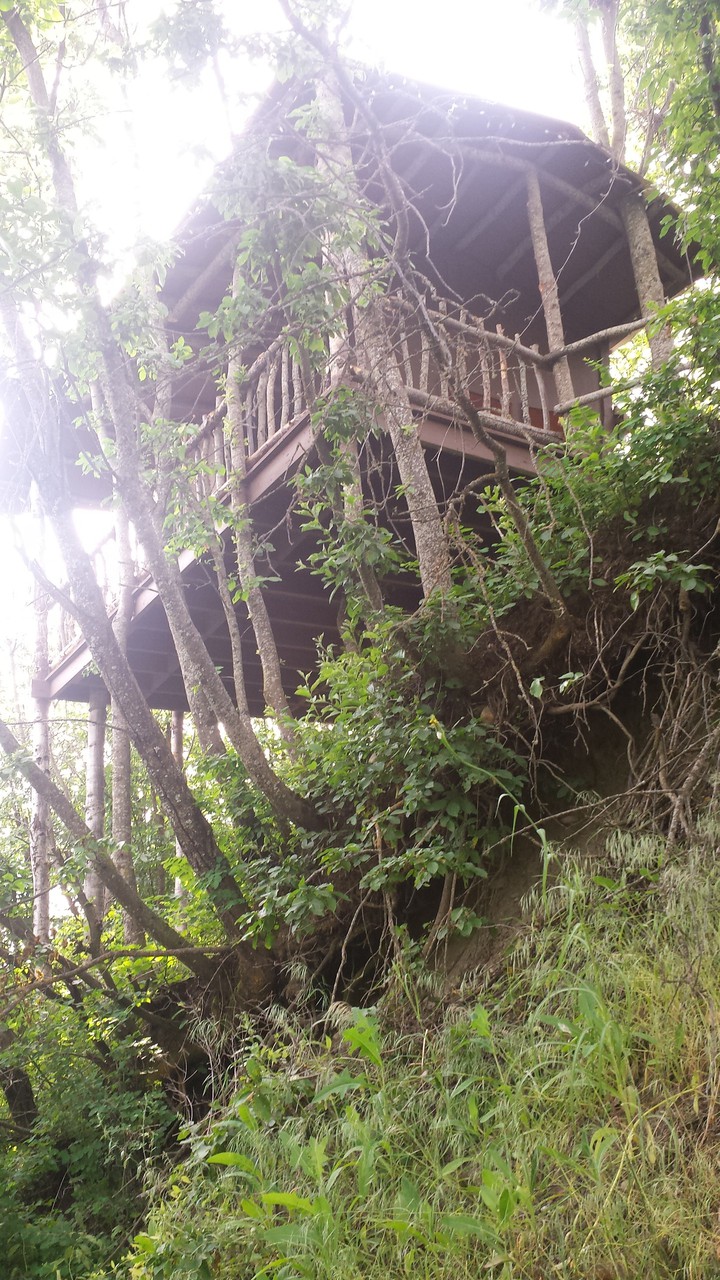 Treehouse