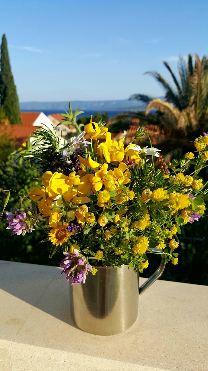 flower beauty