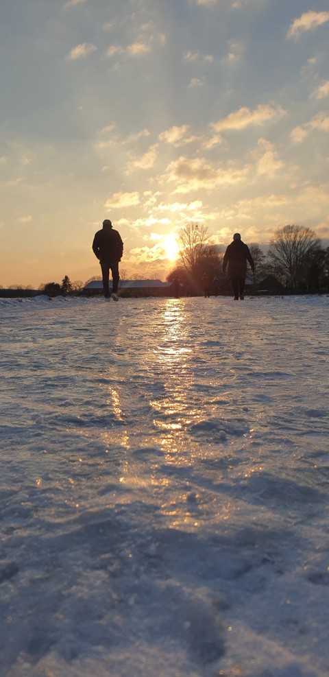 sunlight, lake壁紙