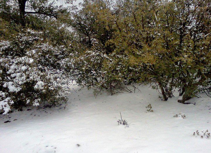Untouched