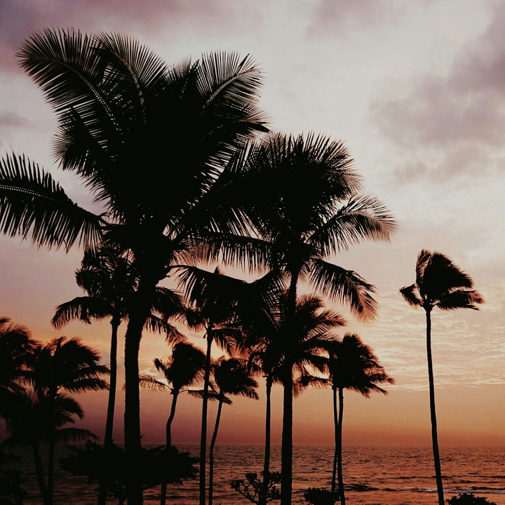 Sunset time