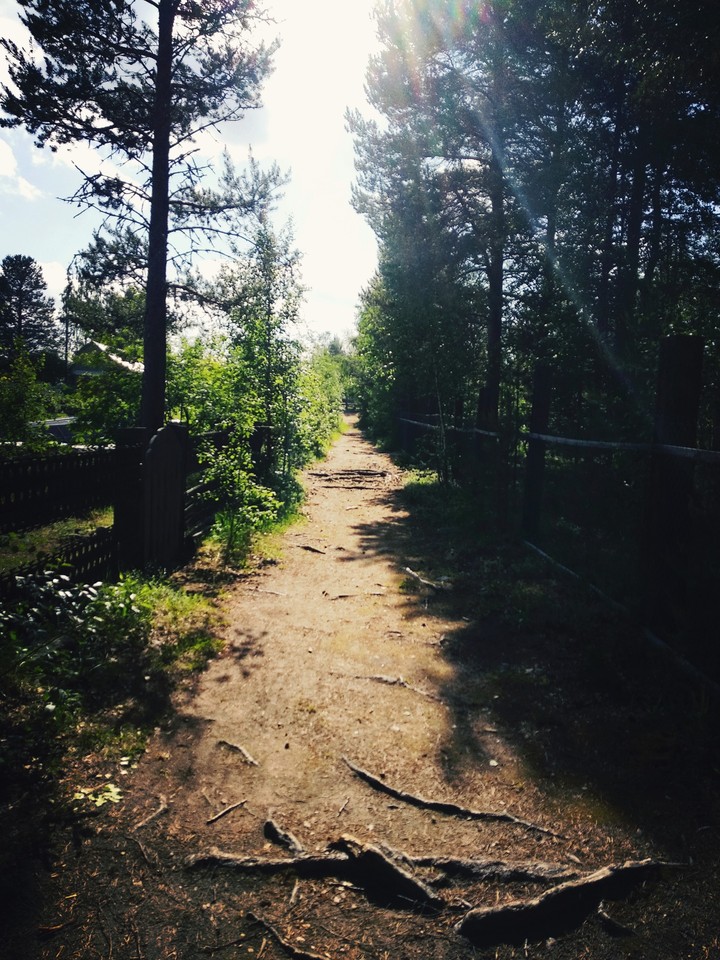 тропинка