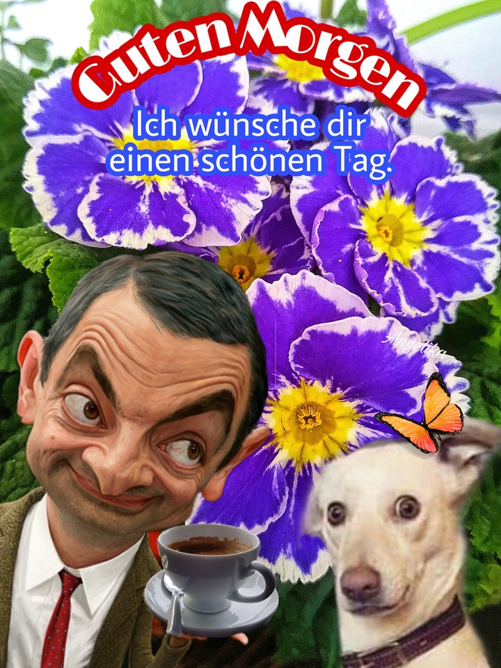 wunderschöner Guten Morgen