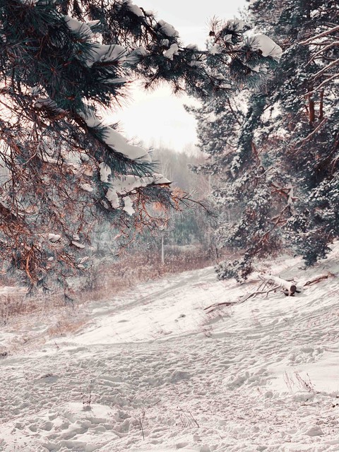 Winter
