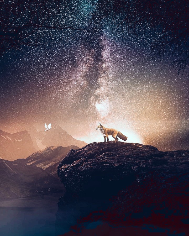 космос
