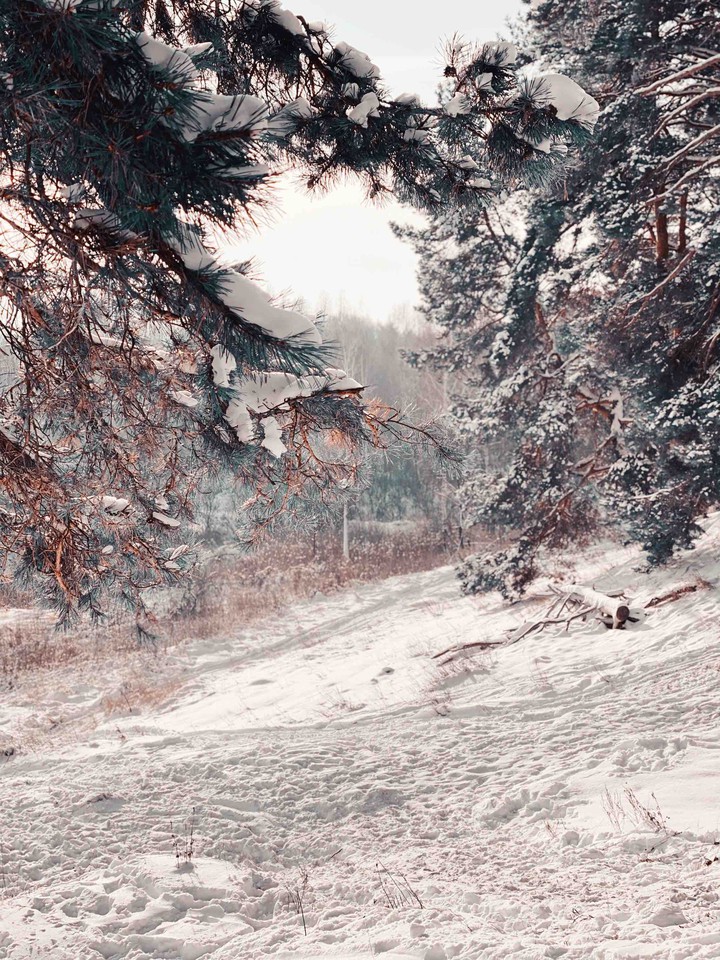 Winter