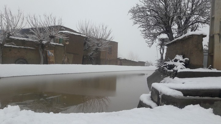 winter