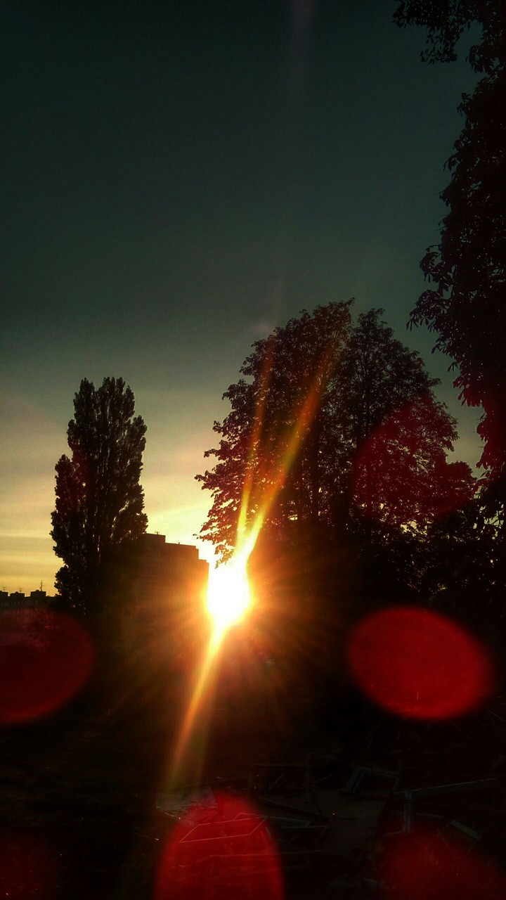 the last sun of the day