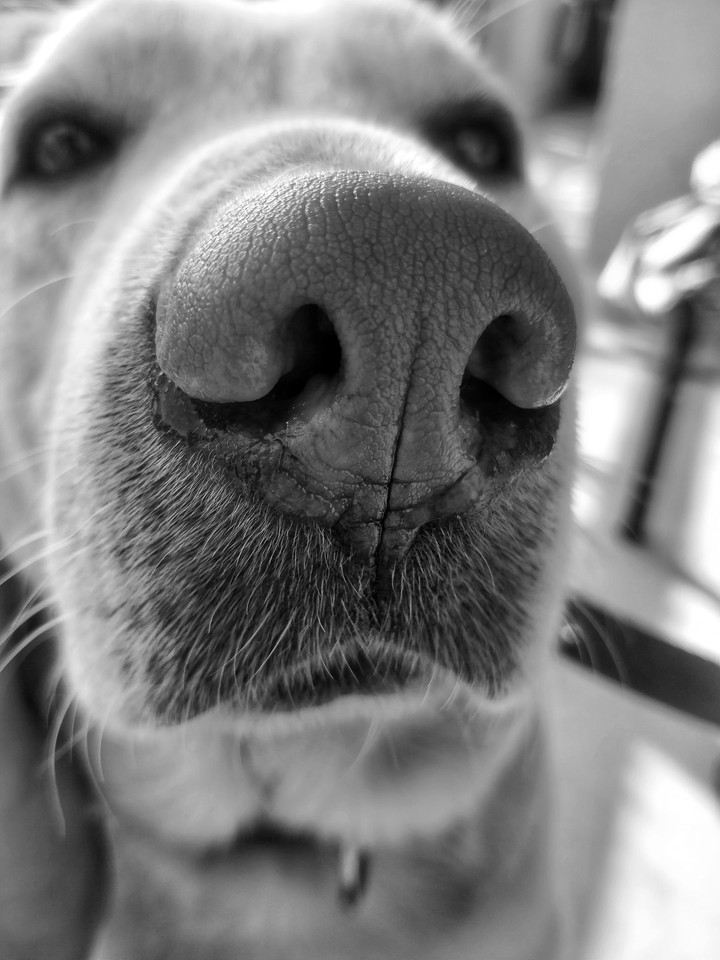 closeup shot
