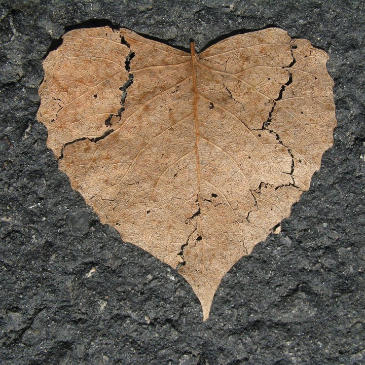 broken heart