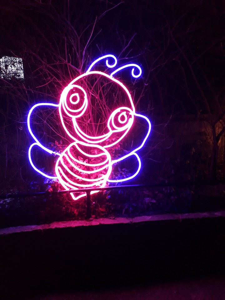 Lichterweld