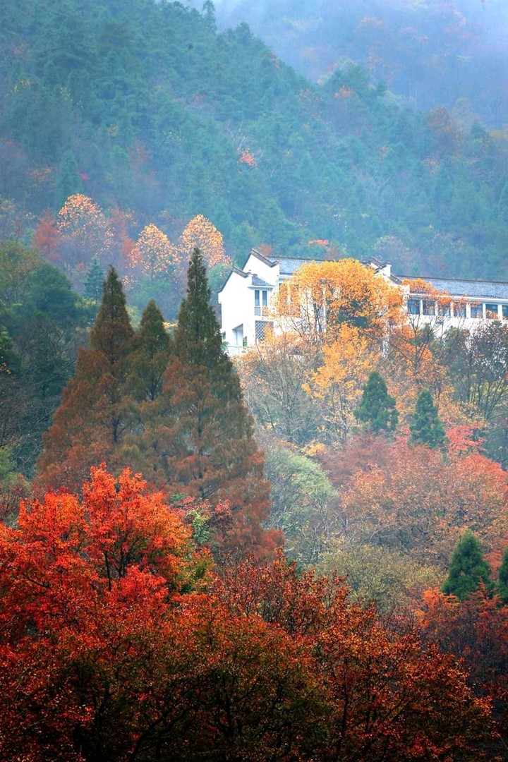 palace inside beautiful forests