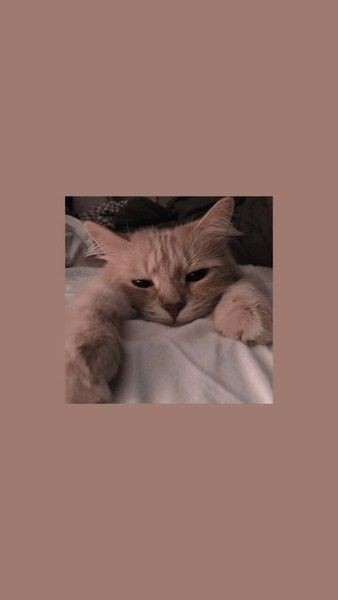 Пастельные обои