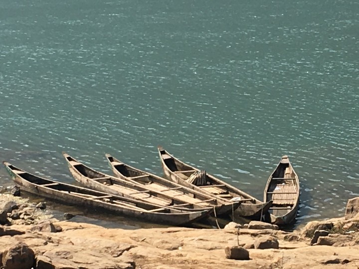 Boats on shore