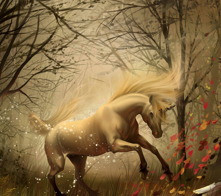 Horse from Heaven