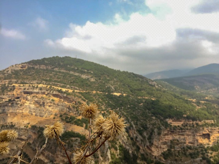 nature