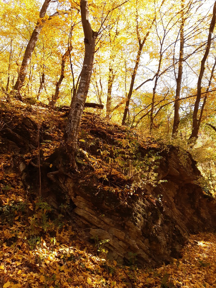 Lego in nature-style